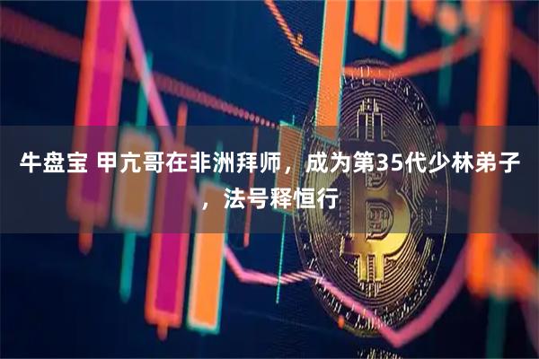 牛盘宝 甲亢哥在非洲拜师，成为第35代少林弟子，法号释恒行
