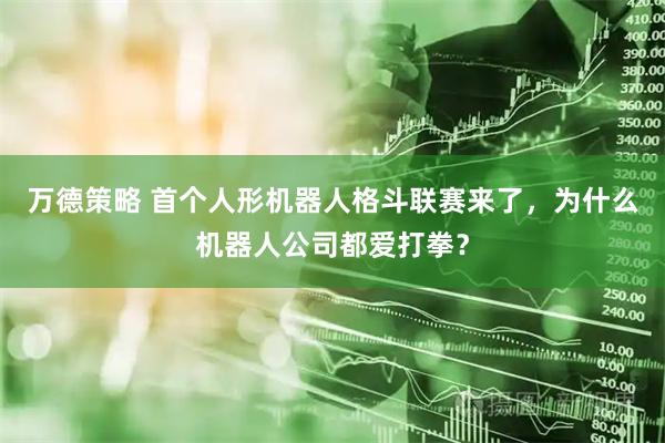 万德策略 首个人形机器人格斗联赛来了，为什么机器人公司都爱打拳？